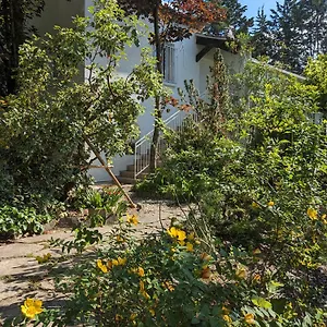 Hébergement de vacances Maison Spacieuse Et Lumineuse 4 Personnes, Lavilledieu (Ardeche)